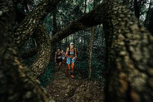 BIB: 
                            <button type="button" onclick="openModal(25676174)" class="btn btn-primary btn-sm float-right btn-popup" data-toggle="modal" data-target=".modal-high-quality">
                        <i class="fas fa-shopping-cart"></i> Add to Cart
                    </button>
                                            <button type="button" onclick="isThisMe(25676174, true)" class="btn btn-success btn-sm float-right btn-popup btn-isme hidden" data-toggle="tooltip" data-placement="bottom" title="นี่คือรูปของคุณใช่ไหม คลิกที่นี่เพื่อเอาเข้าอัลบั้ม">
                        <i class="fas fa-plus"></i> Add to album
                    </button>
                    <button type="button" onclick="isThisMe(25676174, false)" class="btn btn-warning btn-sm float-right btn-popup btn-isnotme hidden">
                        <i class="fas fa-ban"></i> Remove from album
                    </button>